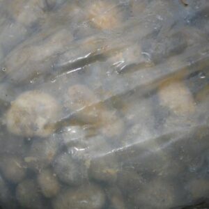 Keynsham Timber & Hardware Pebbles Keynsham Timber